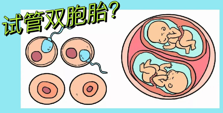 子宫内膜薄试管能移植两枚胚胎 子宫内膜薄试管能移植两枚胚胎