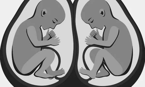 女性身高1.56会影响试管能怀双胎吗?