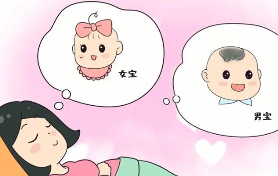 宝宝的男女由父母的染色体决定