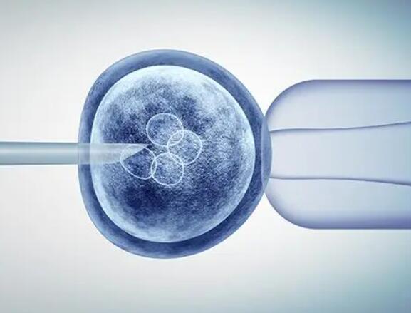 移植冻胚前要检查内膜状况