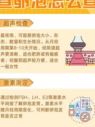 卵泡发育不好如何备孕？先查这三步再定方案