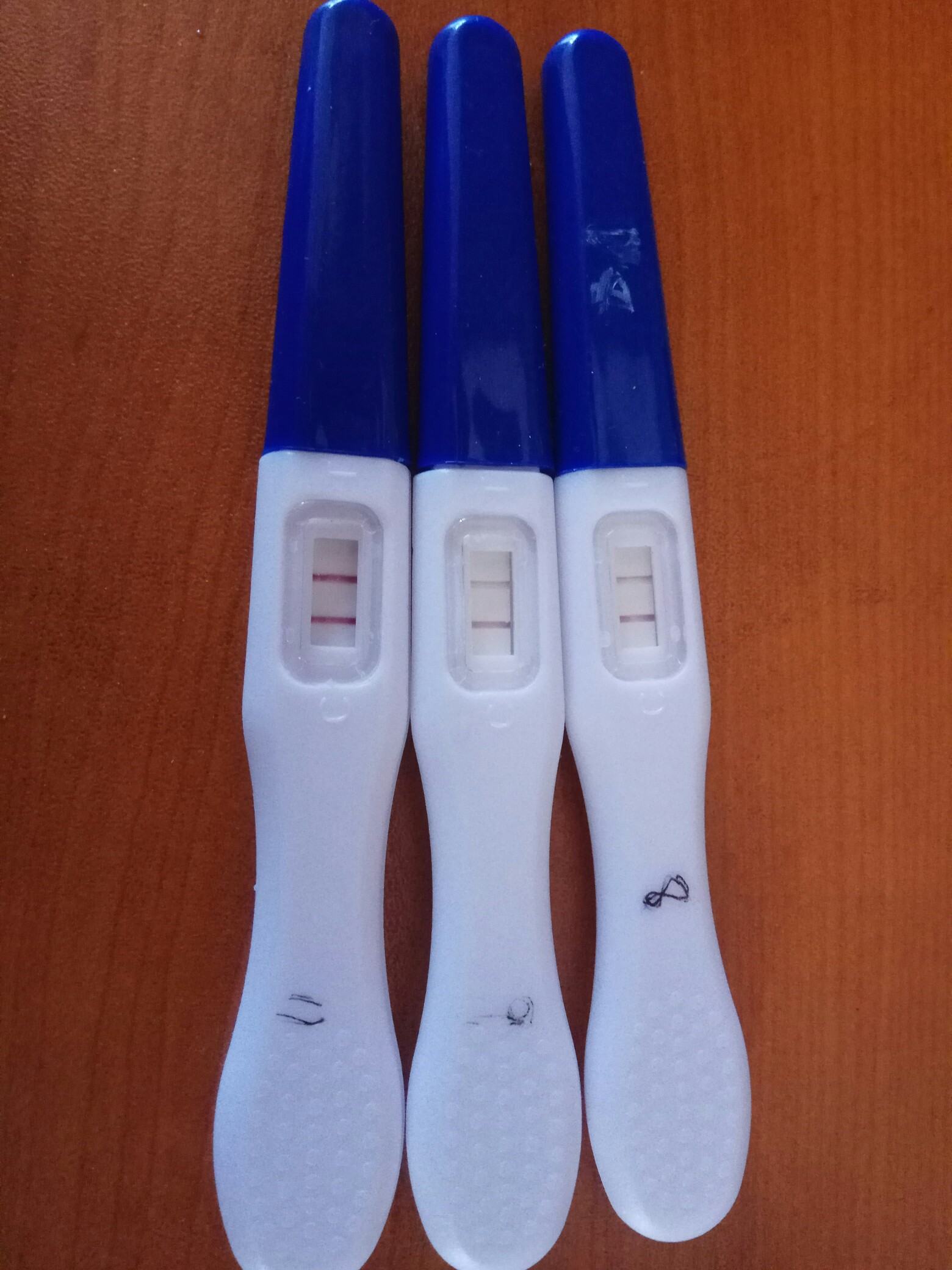 129cb6fd-1a9f-4a20-8085-cf54a71b45dd