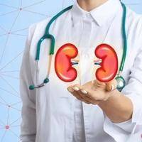 网传男性禁欲100天对改善肾功能的效果大可信吗？