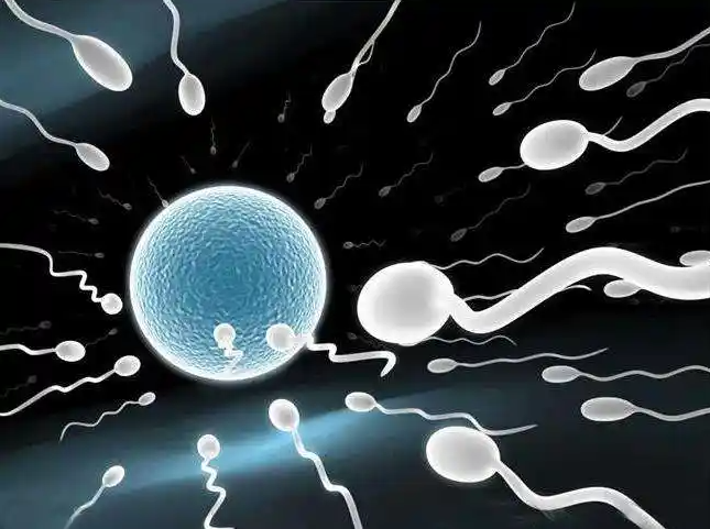 18三体综合征：精子问题还是卵子问题？