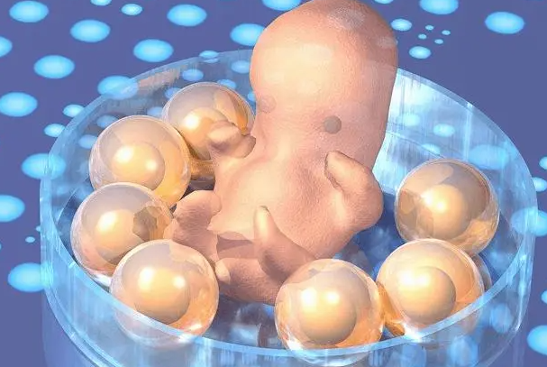 胚胎移植个数需考虑身体情况决定