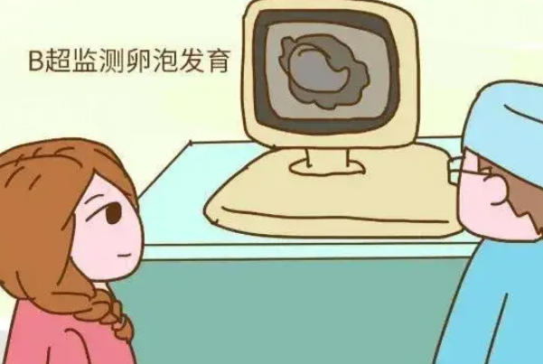 B超显示有多个卵泡可能是正常的