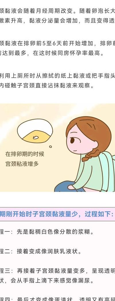 如何快速怀孕一招就中？错过排卵期这1天等于白忙一个月