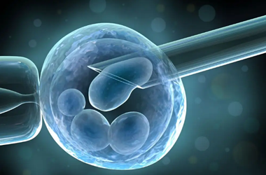 供卵胚胎移植有风险