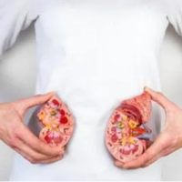 女性肾功能不全是什么意思 能进行备孕吗