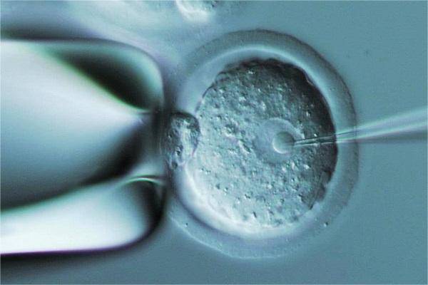 胚胎几级为优胚，怀孕成功率提高一大截