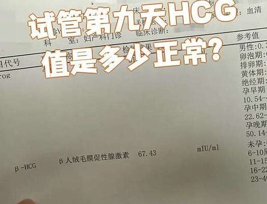 怀孕半个月有什么症状及反应？别把着床出血当月经
