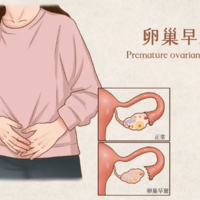 上海代生费用及明细,(武汉试管代生)上海试管代怀生子医院排名附试管助孕机构一览