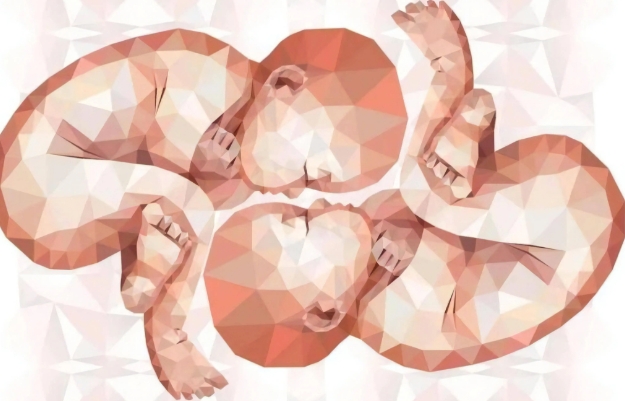 试管婴儿不都是龙凤胎