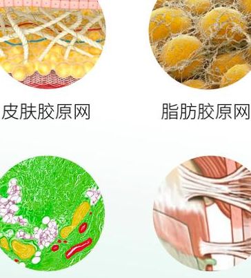 试管婴儿对女性的危害和后遗症，4个判断维度帮你下决心