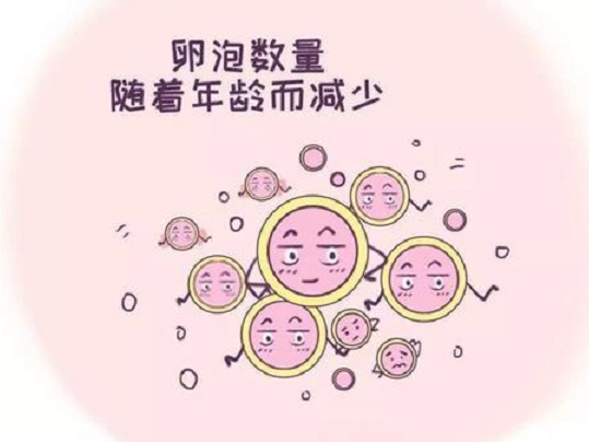 卵泡数量少适合去泰国做试管来生育吗？