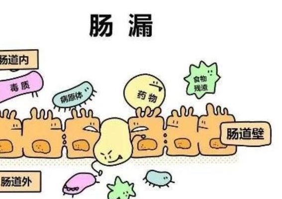 试管不成功的原因有哪些原因？先查这3条线
