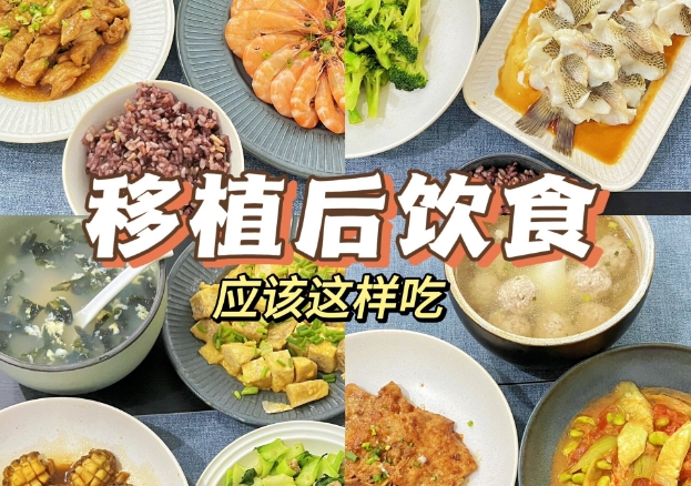 试管移植后的饮食