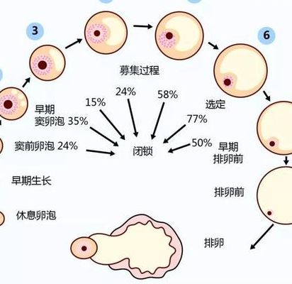 北京试管报销项目有哪些项目？先分清这3类再进周