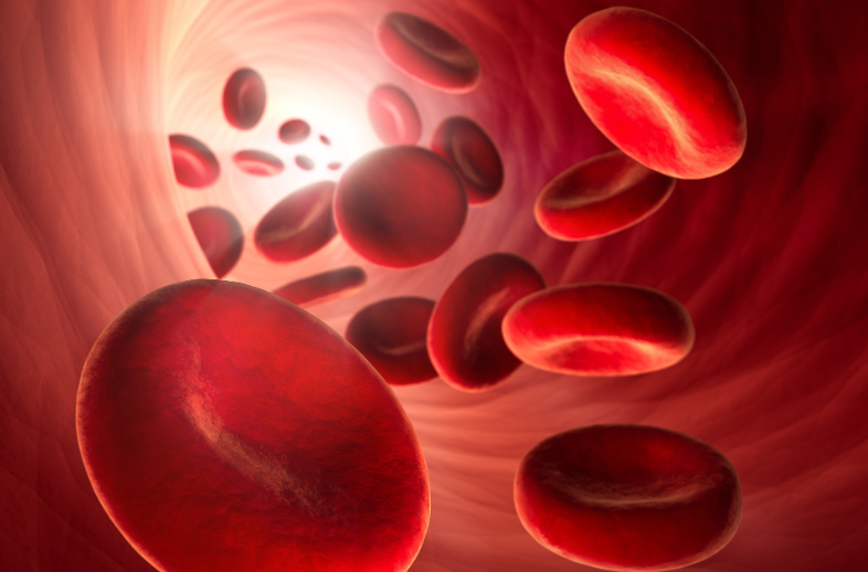 国家批准的脐带血机全国有7家