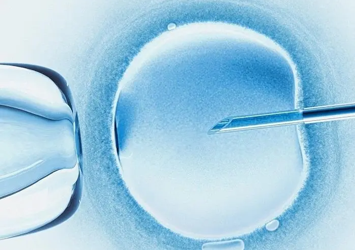 长方案和拮抗剂方案冻胚胎移植成功一样高吗？主要原因竟是它！