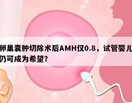 南昌生殖医院试管成功率高吗？我34岁AMH0.8，在这里一次抱娃