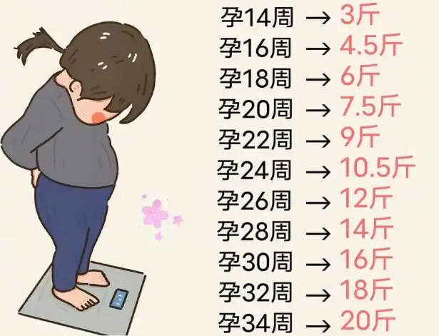 2026孕期体重增长标准