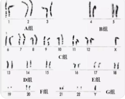 话题图标