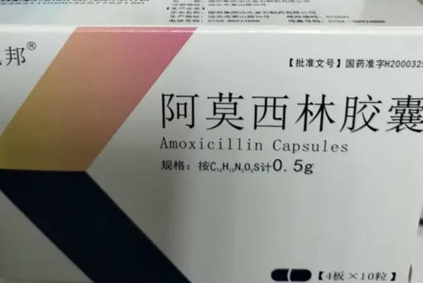 尿路感染吃阿莫西林胶囊