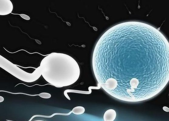 五十多岁的女人能做试管婴儿吗？自卵PKg卵，答案截然不同
