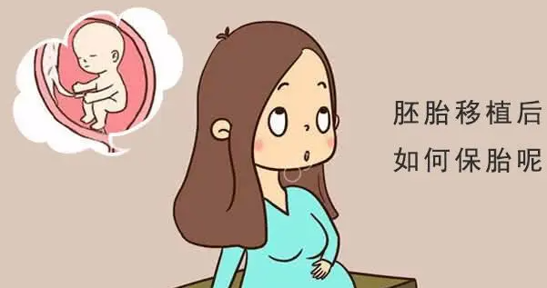 试管成功保胎经验分享.png