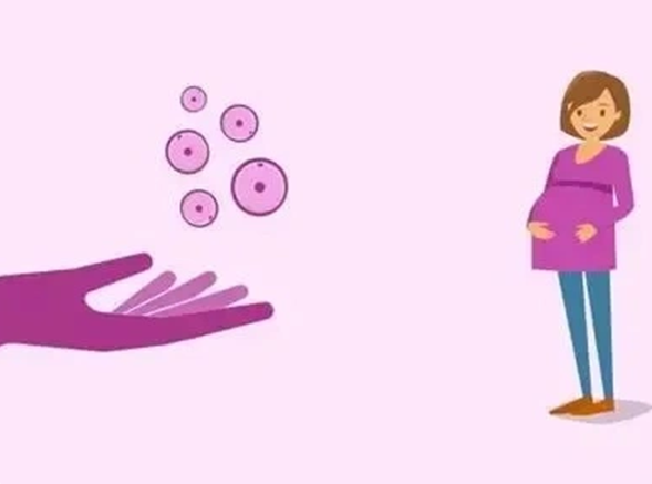 女性雌激素较低适合的试管促排卵方案是哪种?