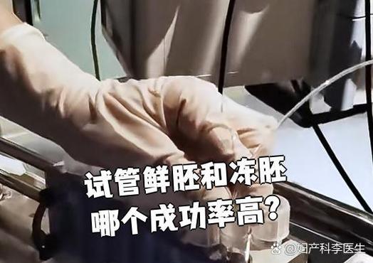 鲜胚快但挑人，冻胚稳却费时：试管鲜胚移植和冻胚移植的区别