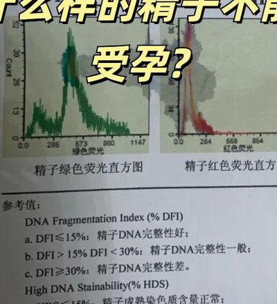 男人怎么使女人怀孕生孩子？精子质量和排卵期缺一不可