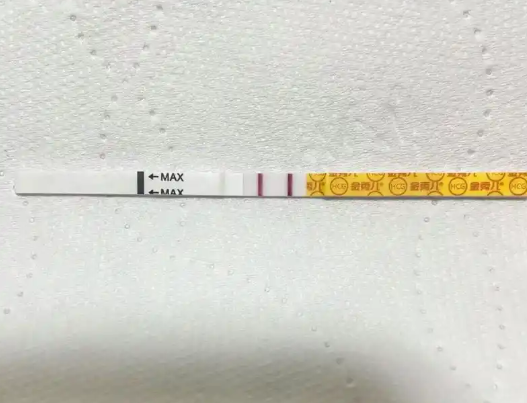 试纸操作不当可能会产生假阳性