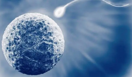 胚胎需要一定时间才能在子宫内着床