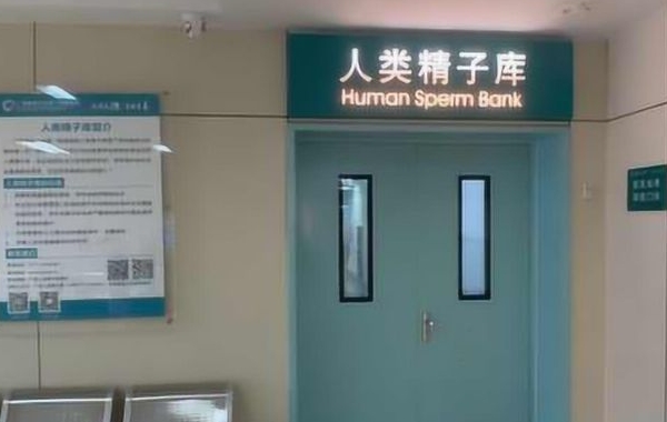 精子库精子做试管的费用