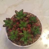 试管婴儿交流群用户头像
