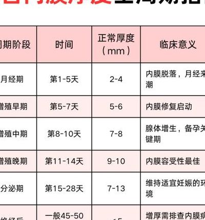 内膜薄能做试管吗？先看这4个判断维度再决定