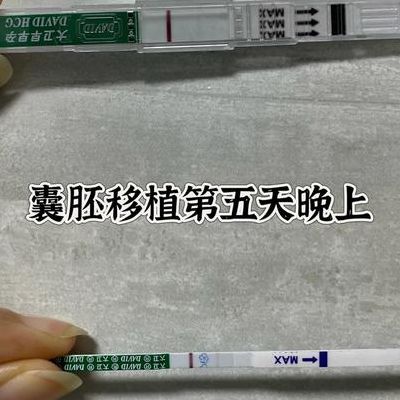 试管移植后几天能用试纸测出怀孕了吗？2026新颖共识给出更准确时间窗