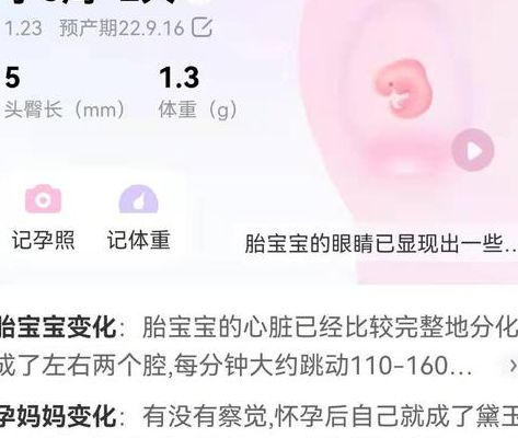成功一个月备孕怎么办？生殖咨询师拆解3步实操思路