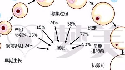 做试管较快要多久时间做完?我亲身经历告诉你,三个月起步