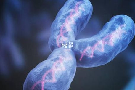 中国试管婴儿医院是哪家？先别急着定，这三点更关键