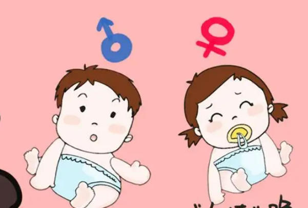 不存在百分百算胎儿性别的公式