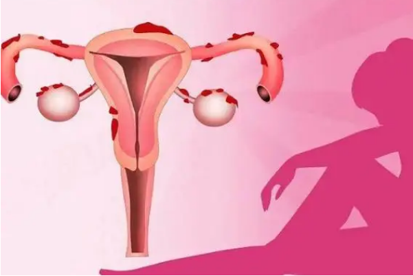 补充雌激素可提高卵巢功能