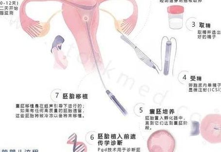 做试管三代需要多少钱？过来人梳理5笔费用价格明细