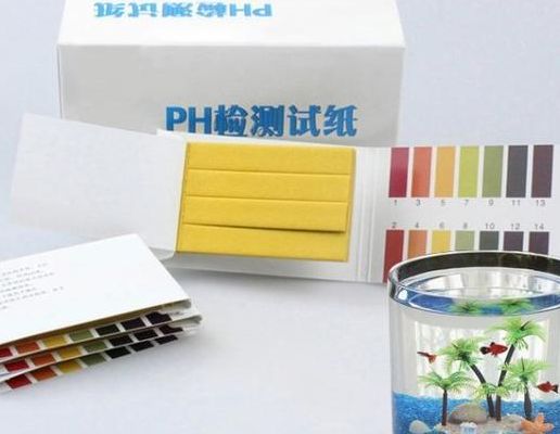 测怀孕的试纸叫什么？2026医保白名单点名早孕试纸