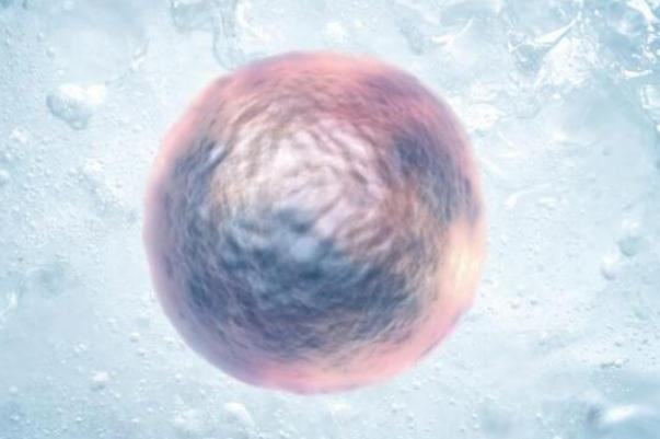 体质会影响女人冷冻卵子的年龄