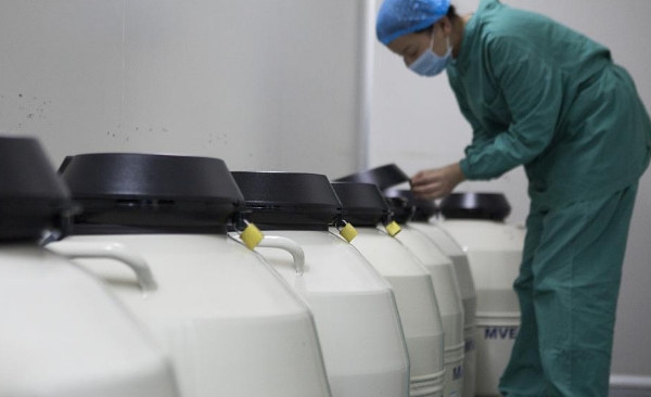 冻胚移植自然周期卵泡不长还能移植