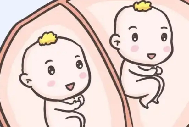试管双胎费用受促排药物的影响