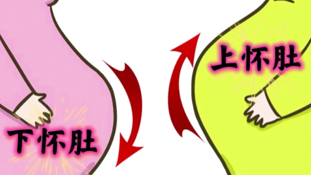 孕期胎位特征的基本认知